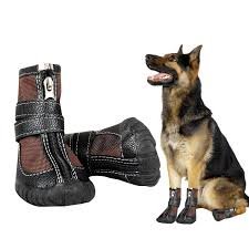 Pet Shoes